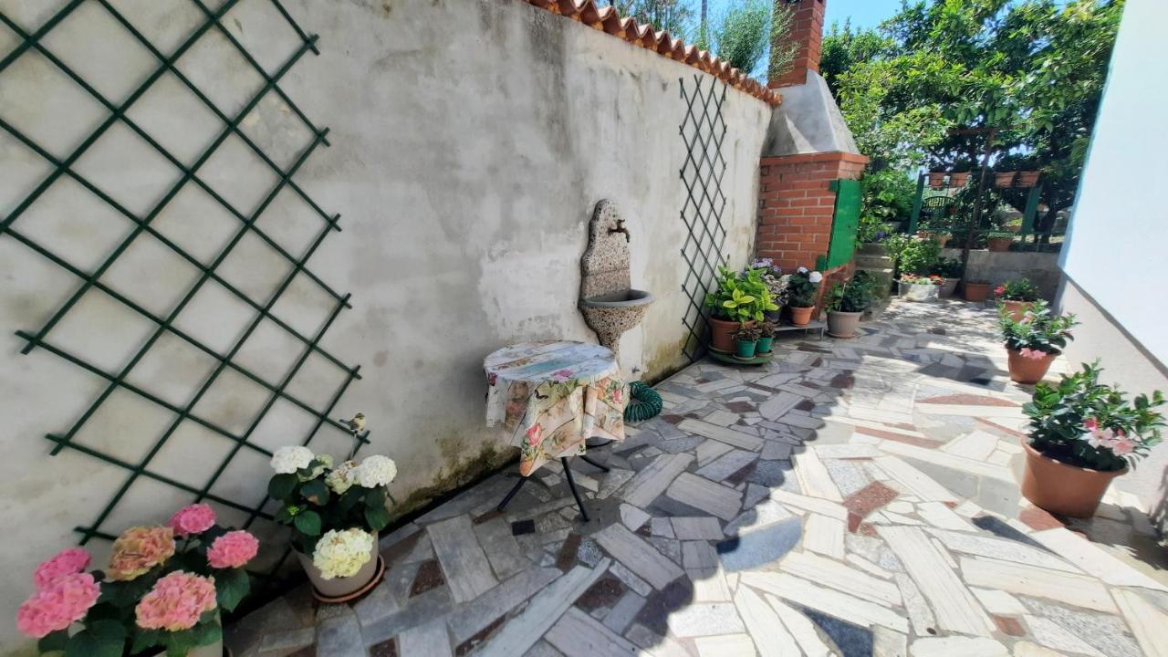 Apartma Bajc Сечовлє Екстер'єр фото
